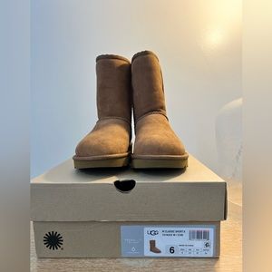 Brand New with Box   Women’s 6  Classic Short ‘Chestnut’